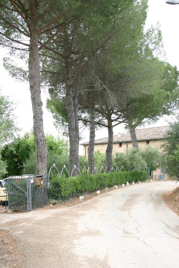Podere Piazza Sienne Extérieur photo